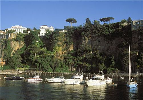 意大利,坎帕尼亚区,船,房子,松树