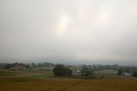 雾,上方,风景,瑞典