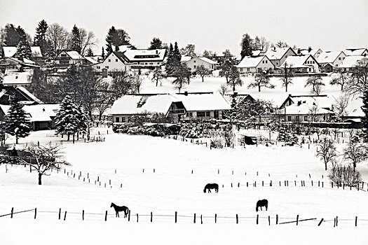 冬天,北莱茵威斯特伐利亚,德国
