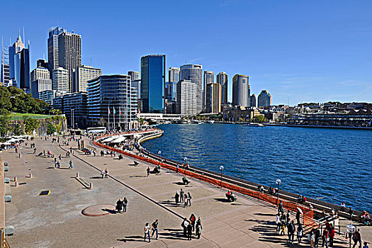 旅游,风景,悉尼,小湾,环形码头,港口,天际线,中央商务区,新南威尔士,澳大利亚