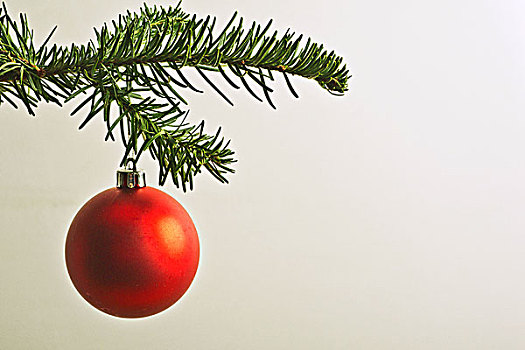 红色,圣诞饰物,悬挂,圣诞树