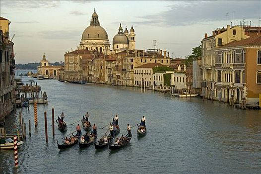 黎明,大运河,大教堂,行礼,威尼斯,意大利