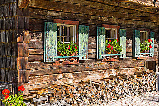 一堆,木柴,正面,老,农舍,萨尔茨堡州,奥地利,欧洲