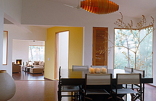 木桌子,椅子,现代,开放式格局,餐厅,风景,起居室