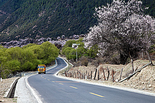 西藏山南公路