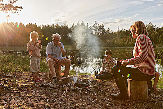祖父母,孙辈,享受,营火,晴朗,湖岸