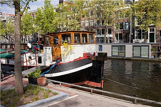 运河,城市,阿姆斯特丹