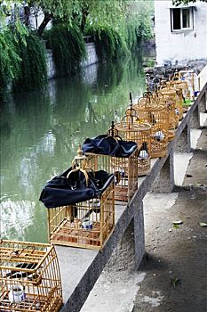 拍摄于亚洲,中国,江苏省,苏州市,拍摄了这一些鸟笼,2005年7月