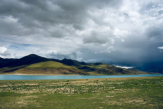 西藏的大草原