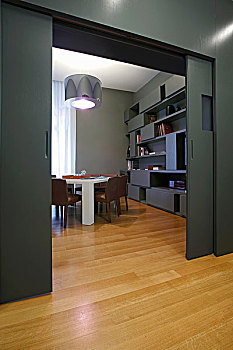 设计师,公寓,灰色,墙壁,滑动门,连续,木地板,风景,客厅