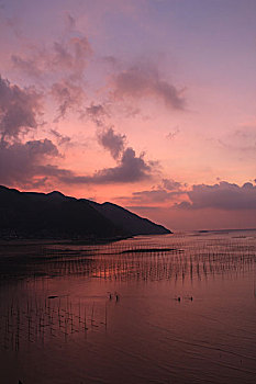 霞浦北岐