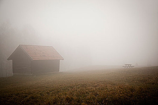 小屋,隐藏,雾