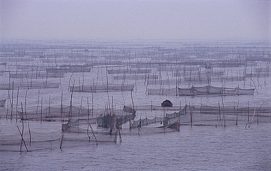 山东泰安水泊梁山所在地东平湖