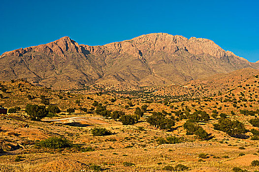 特色,山,风景,树,晚间,亮光,山峦,南方,摩洛哥,非洲