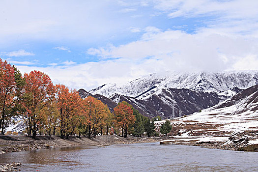 新都桥雪景