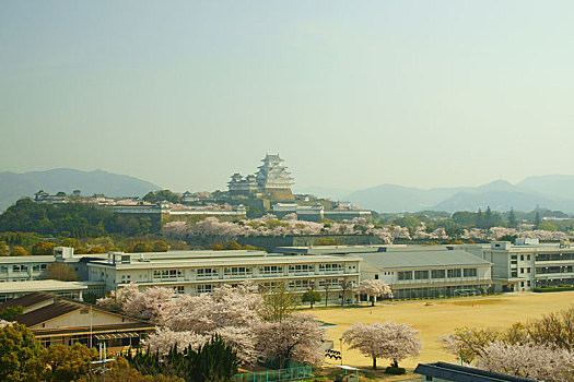 姬路城堡,春天,兵库,日本