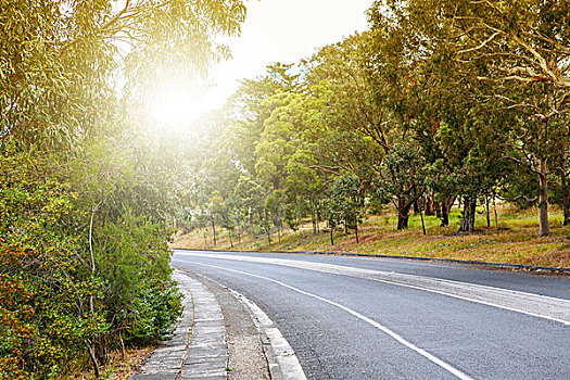 美国道路场景