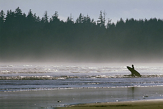 人,冲浪板,海滩,长滩,环太平洋国家公园,自然保护区,不列颠哥伦比亚省,加拿大