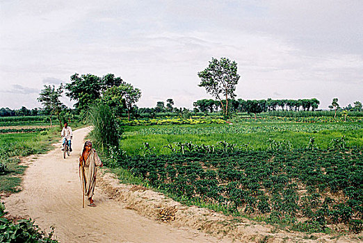 风景,孟加拉,七月,2007年