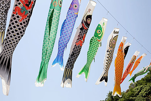 日本人,鲤鱼,风筝,彩带