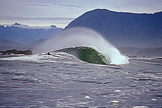 冲浪,涉水,上方,波浪,遥远,西海岸,温哥华岛,不列颠哥伦比亚省,加拿大