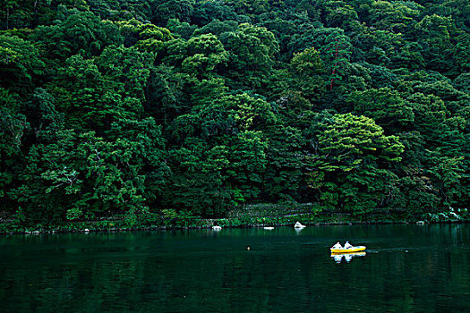 日本,京都,岚山