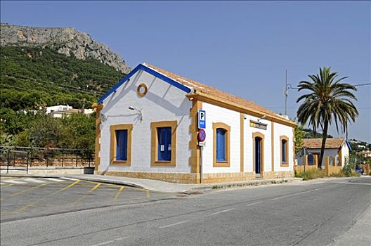 车站,建筑,棕榈树,卡培,白色海岸,阿利坎特,西班牙,欧洲