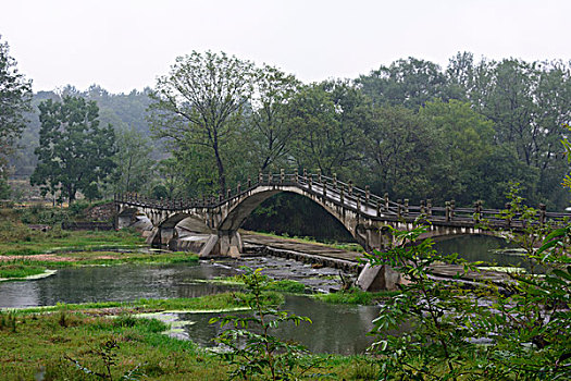 绿树小桥