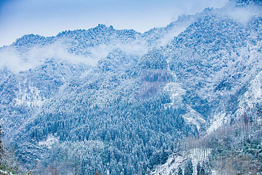 西岭雪山大雪的美丽风景