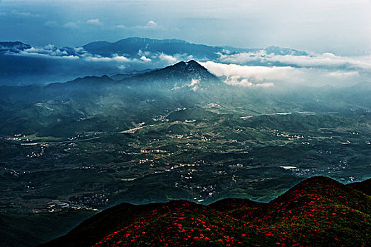 映山红,杜鹃,群山,云,雾,花,太阳,美景,风光,春天,高山杜鹃,花朵,云层,路,路面,山脊