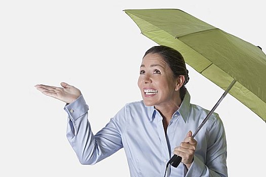 女人,伞,检查,雨