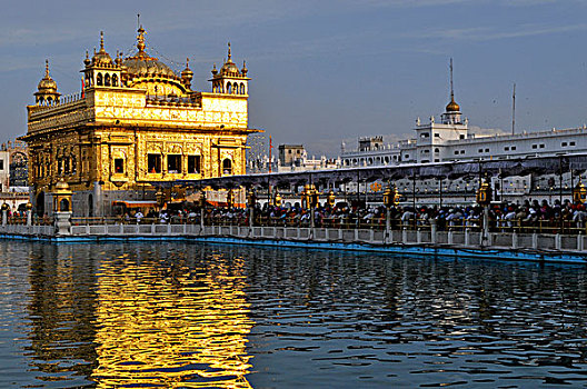金色,庙宇,阿姆利则,旁遮普,印度,亚洲