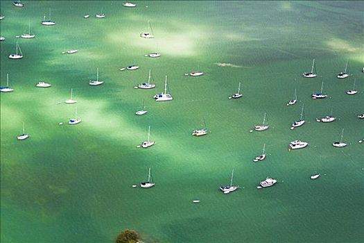 航拍,帆船,海中,佛罗里达礁岛群,佛罗里达,美国