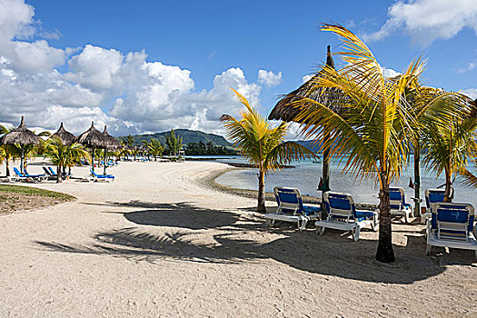 海滩,棕榈树,沙滩椅,胜地,毛里求斯,非洲