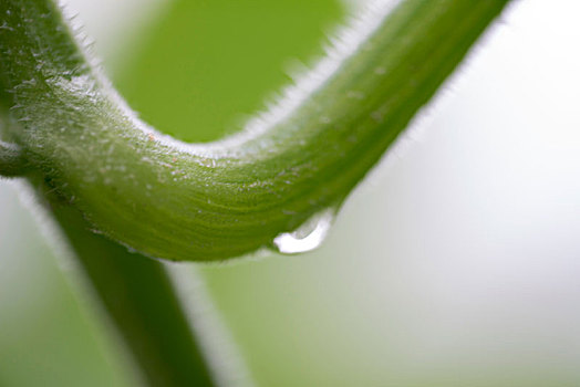 雨滴