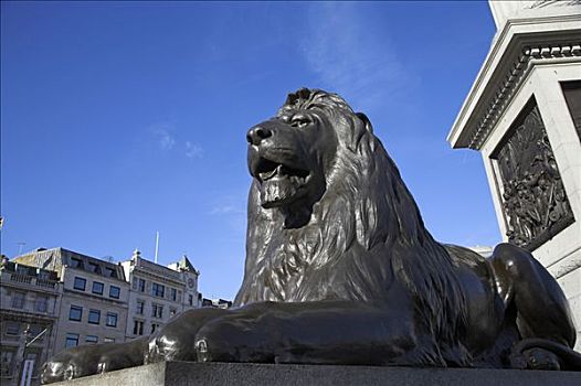 一个,巨大,青铜,狮子,纳尔逊纪念柱,特拉法尔加广场,设计