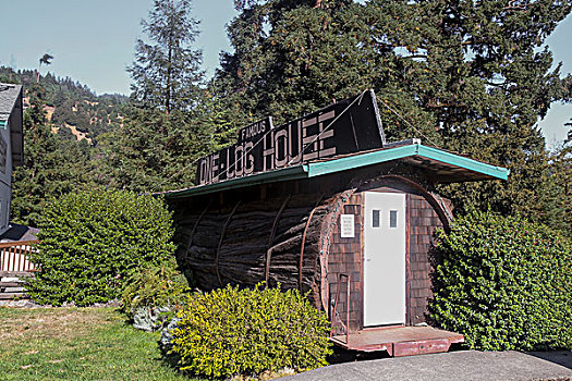 房子,红杉,上方,岁月,老,加利福尼亚,美国