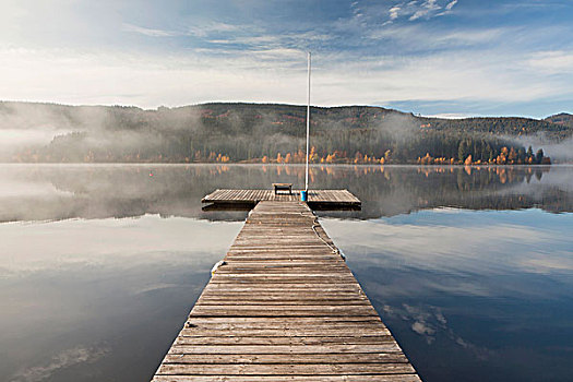 水,反射,湖,亮光,秋天,雾,黑森林,巴登符腾堡,德国,欧洲