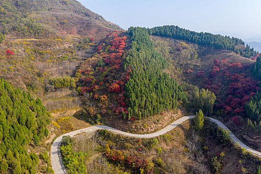 航拍济南南部山区红叶