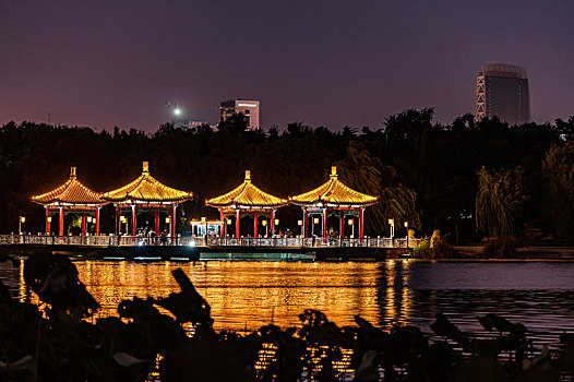 中国长春南湖公园夜景