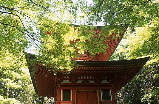 塔,寺院,京都,日本