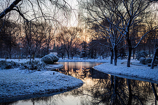 雪景