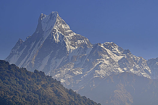 尼泊尔,安纳普尔纳峰,保护区,鱼尾,山,北方,中心