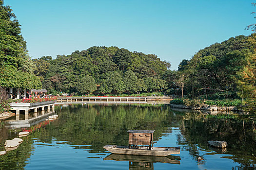 初冬12月登高羊城广州帽峰山沿途美景