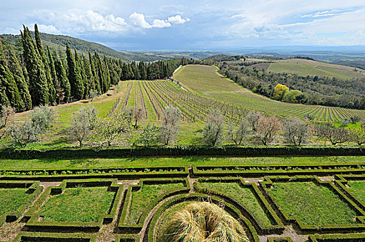 葡萄种植园,风景,城堡,托斯卡纳,意大利,欧洲