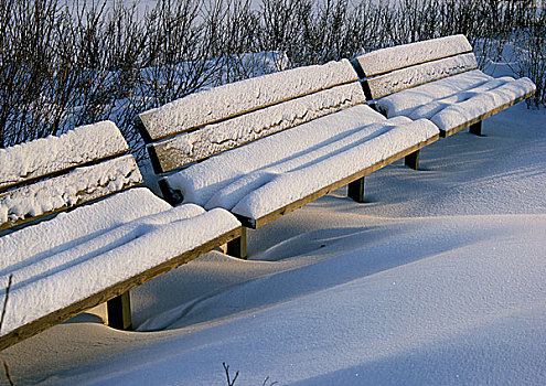 瑞典,公园长椅,遮盖,雪