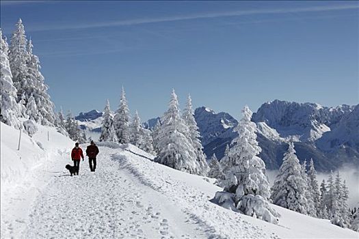冬季风景,山,山脉,靠近,加米施帕藤基兴,陆地,上巴伐利亚,巴伐利亚,德国