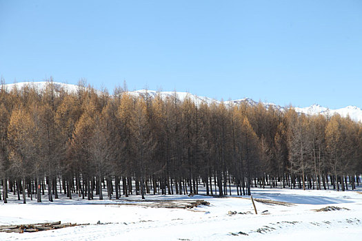 雪后天山美景