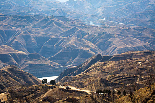 黄土高原地貌