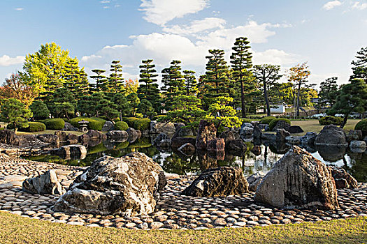 日本,皇家,花园,京都